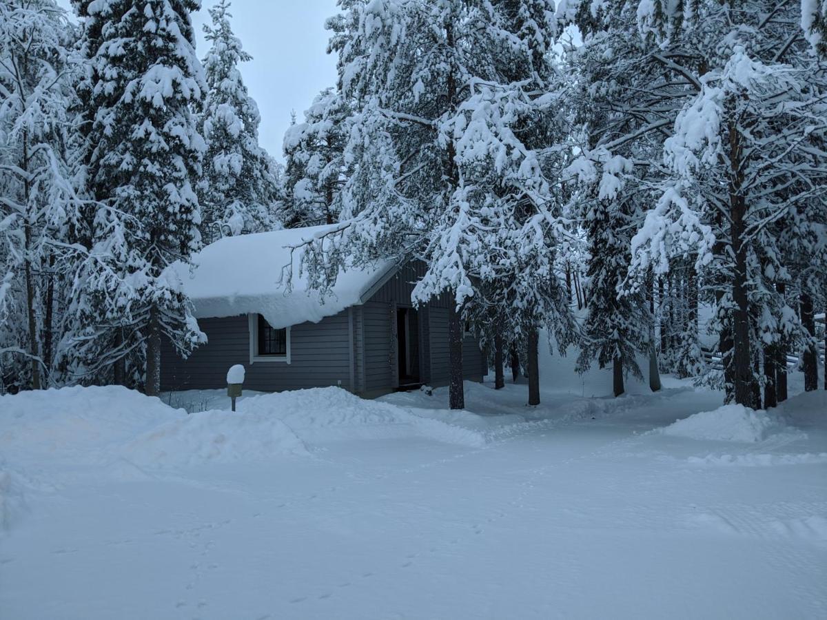 Tunturioravat